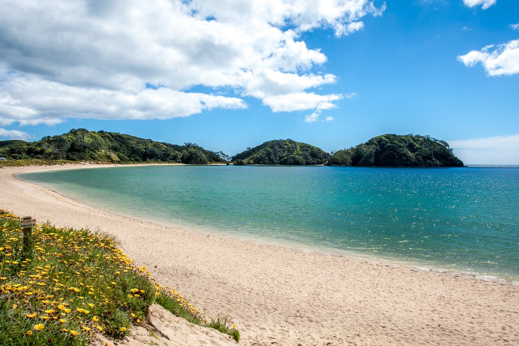 Matapouri Bay a few minutes walk away
