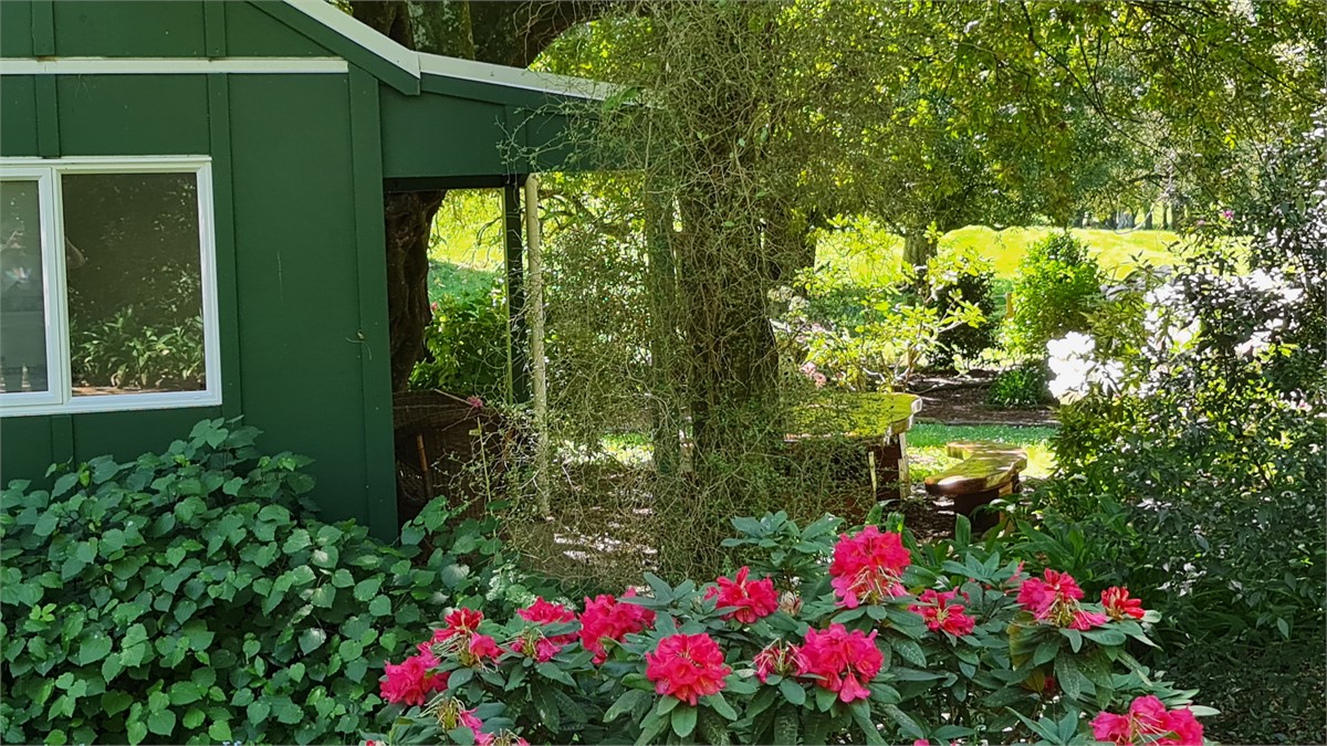 Rhododendron & Clivia Dell