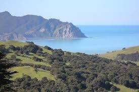 Ko te Akau o Tokomaru Bay. Beautiful Tokomaru Bay