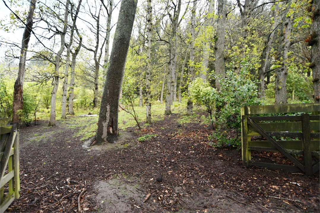 View of the Outside area