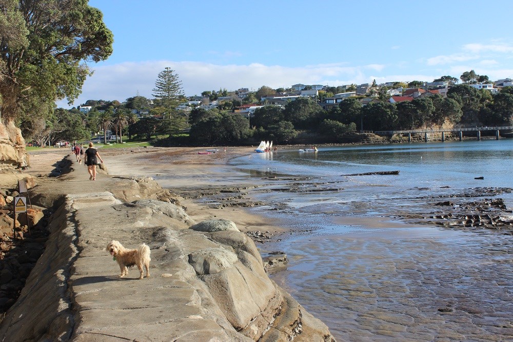 Only 5 houses walk away !!