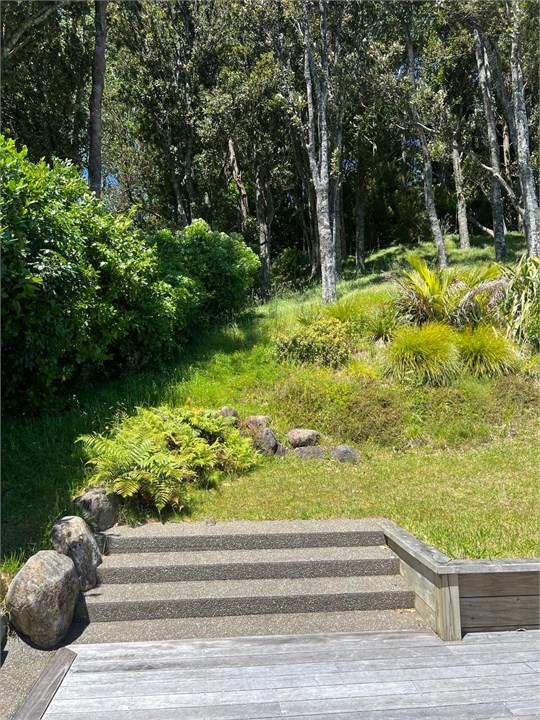 Our little forest area