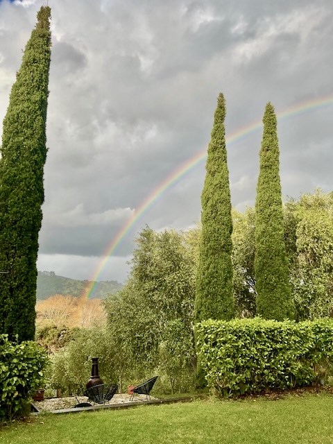 Rainbow over the cypresses