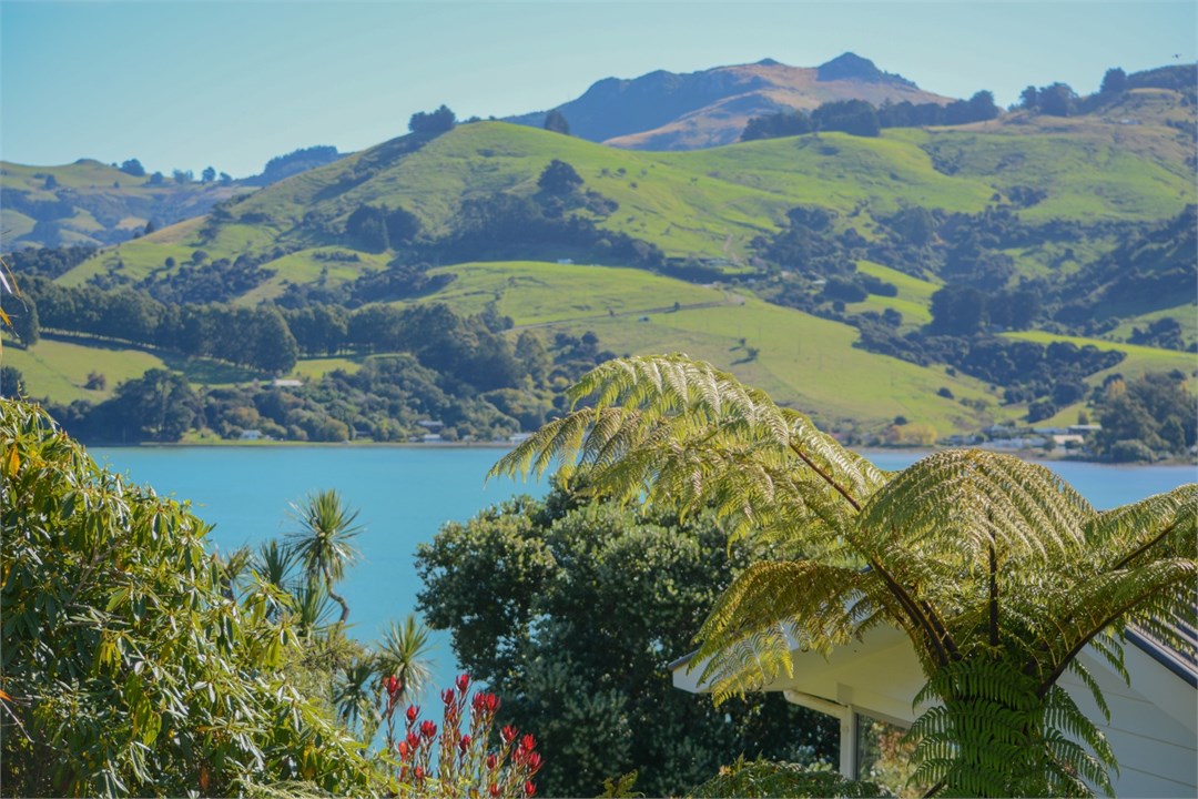 View from the property