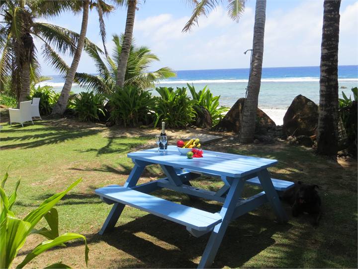 Brunch on the picnic table 