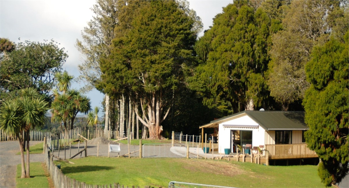 Rural setting with mature native trees & bush