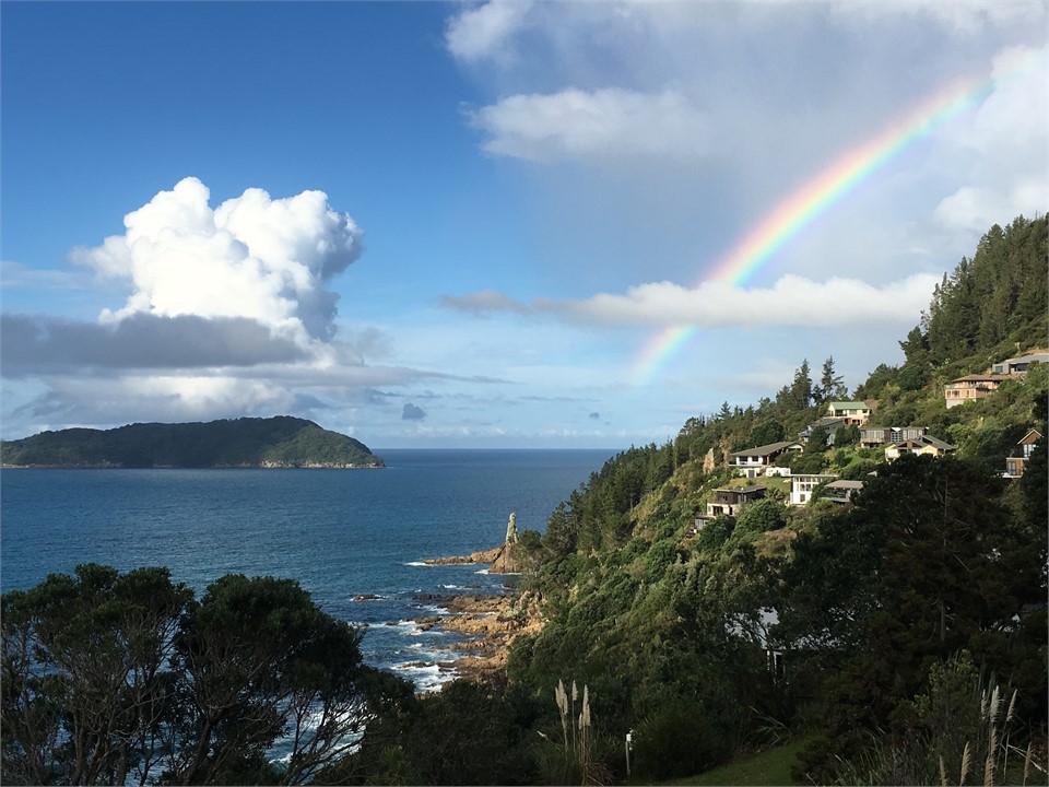 view from kitchen window