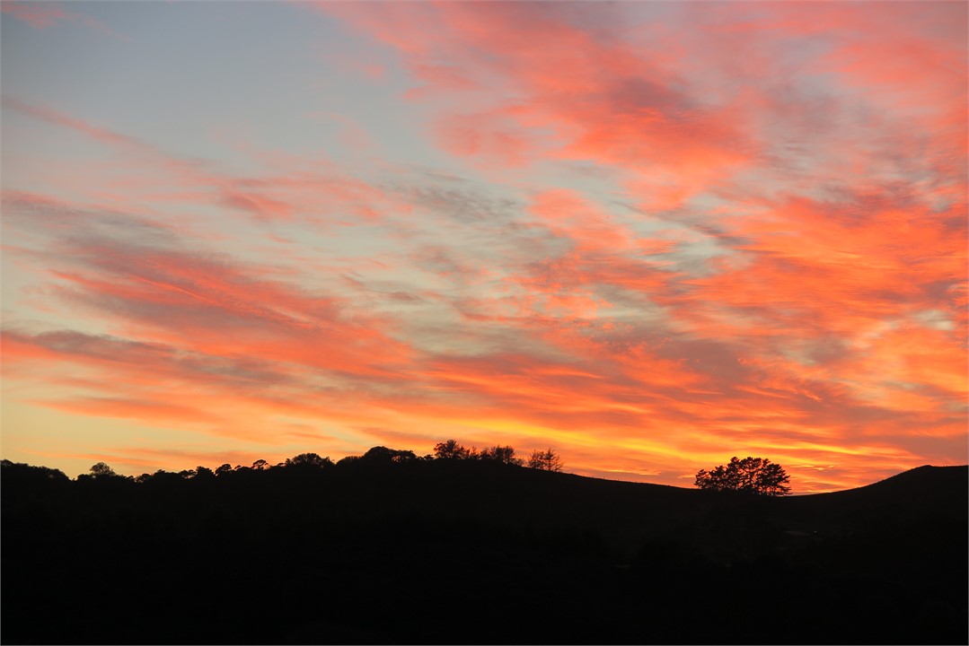 Sunrise from the garden