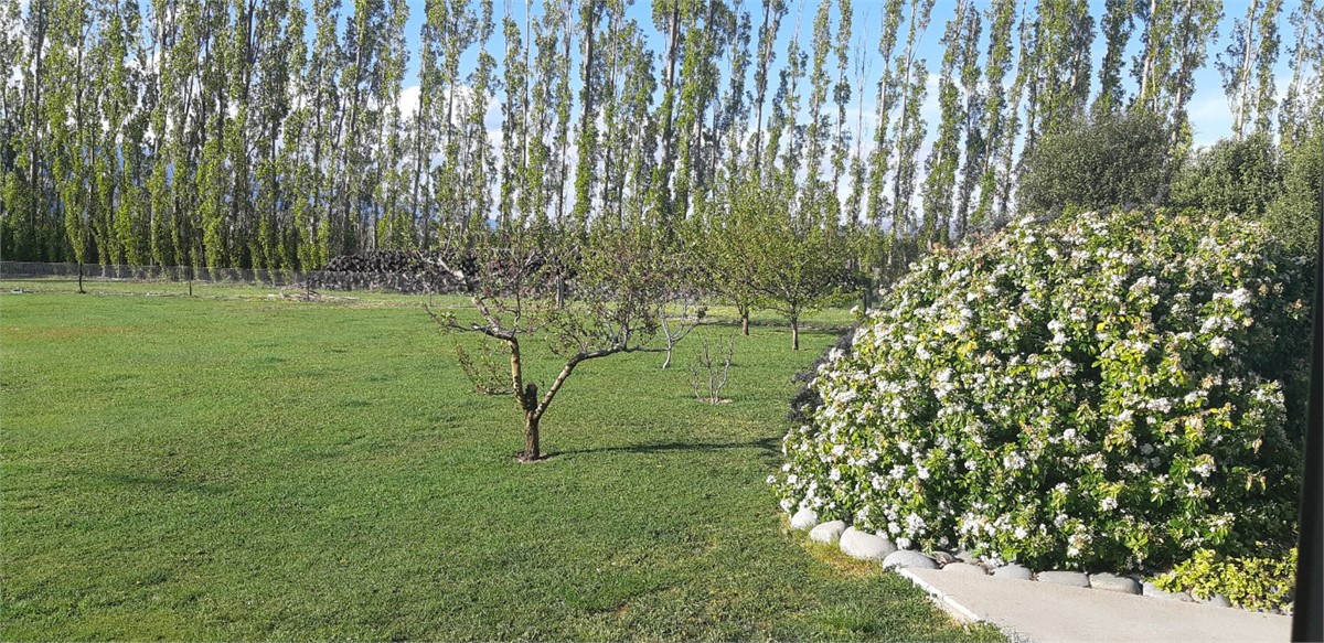 View from the bedrooms