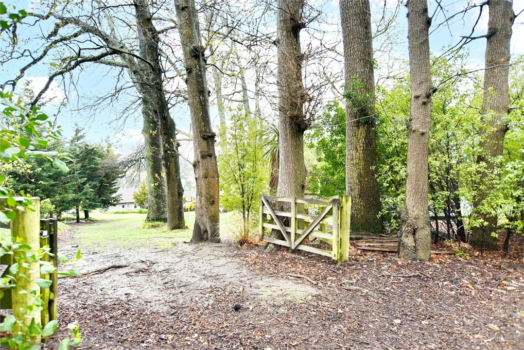 View of the Outside area