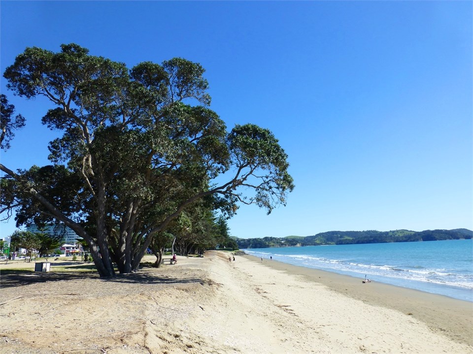 Orewa beach - across road