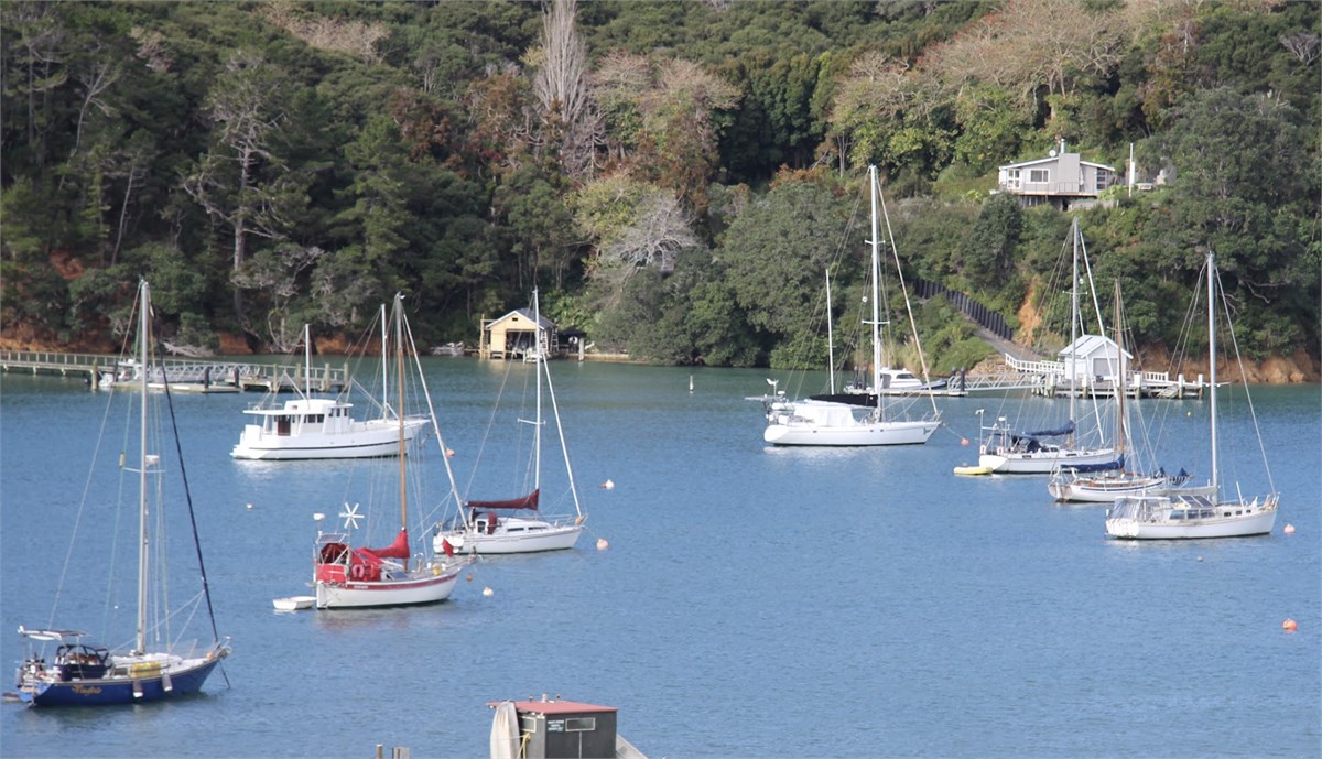 North Cove views from Kawau Lodge