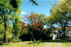 driveway to our home