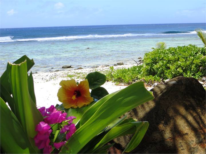 Beachfront at Heron's Reef