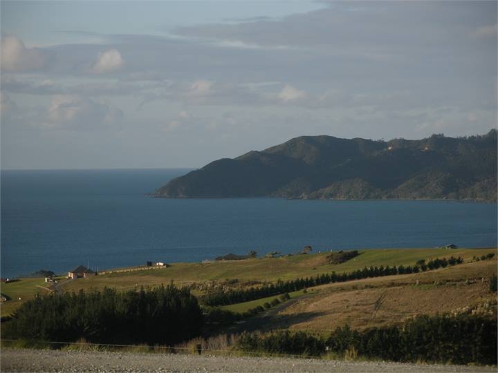 View from the lounge