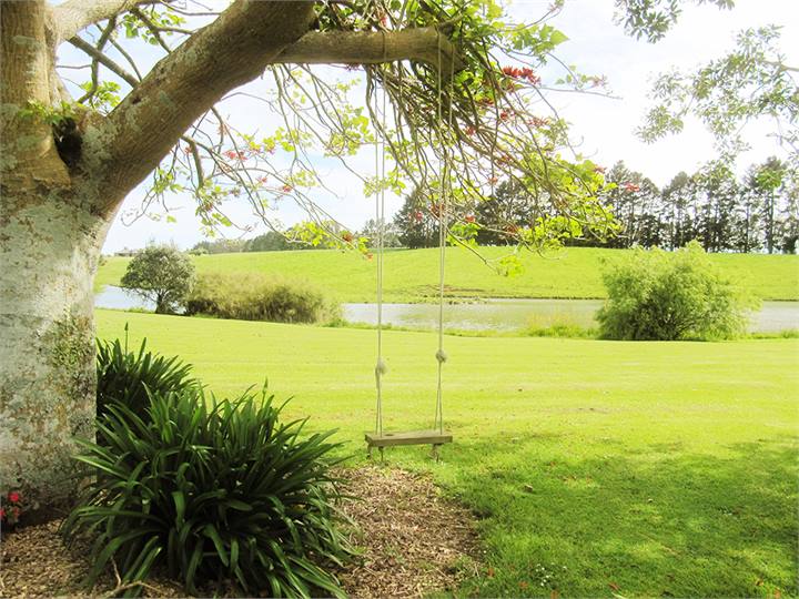 A swing in the sunshine