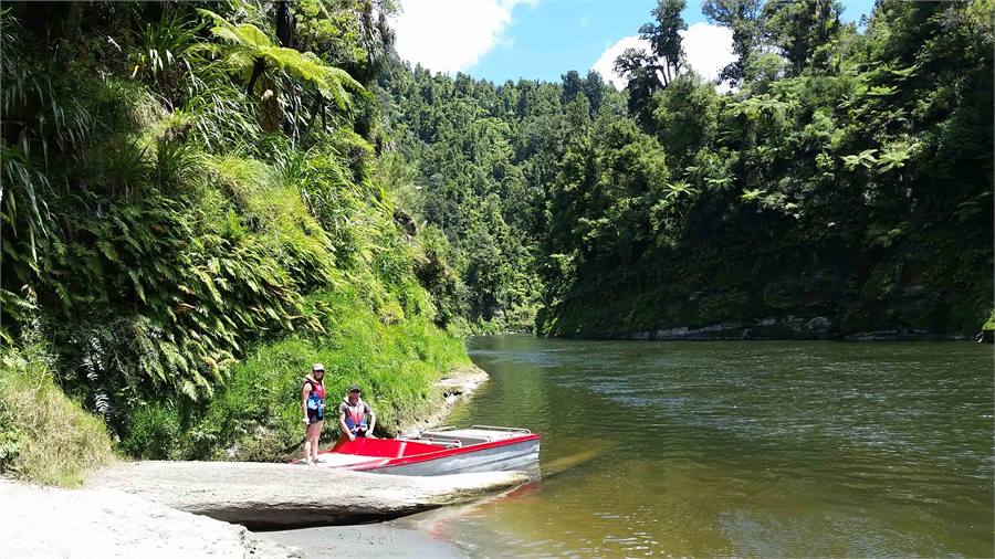 Jet boat the Whanganui River