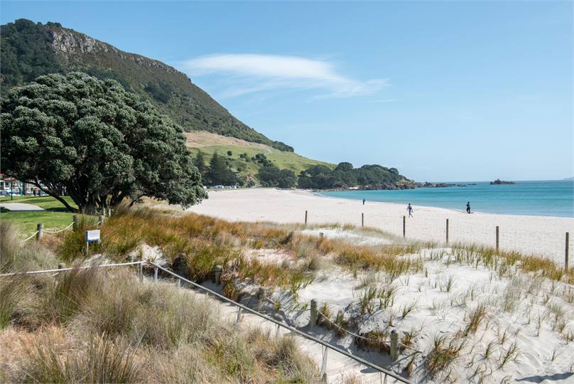 Wanting Mount Maunganui? ask us for rental info