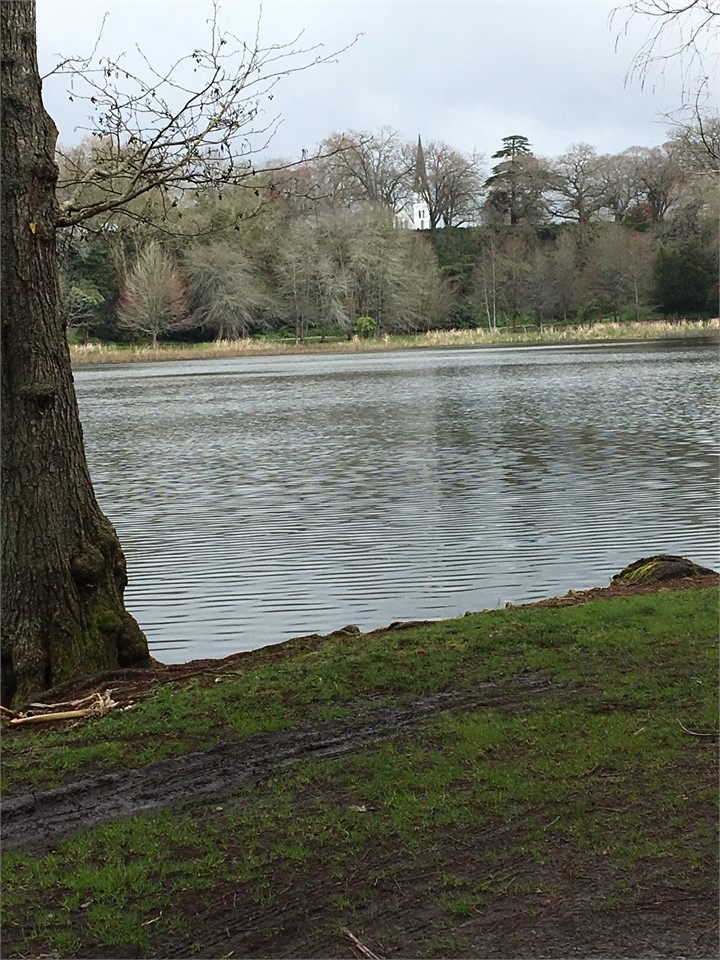 The famous white church sitting above the lake