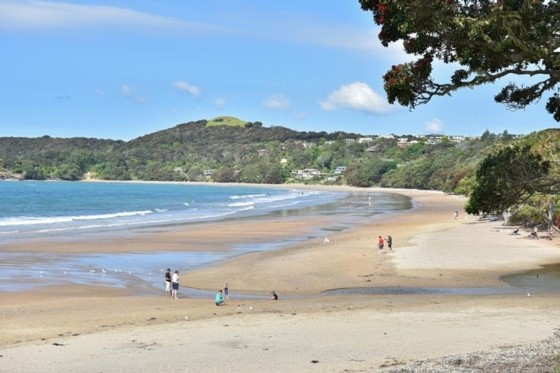 Fabulous Coopers - The quintessential Far North Be