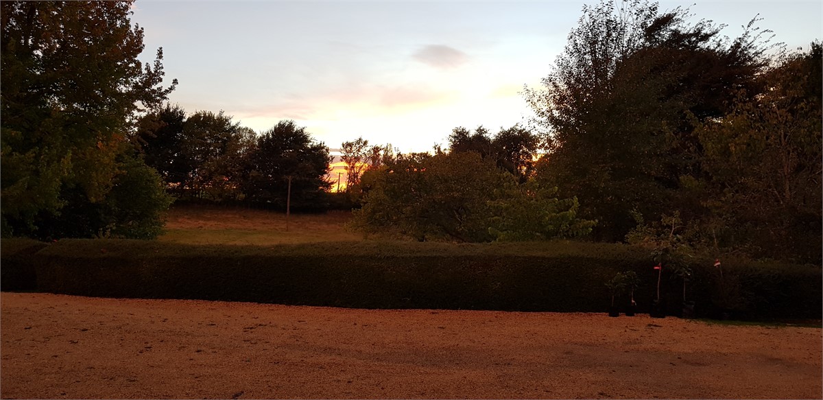 Morning light in the east.