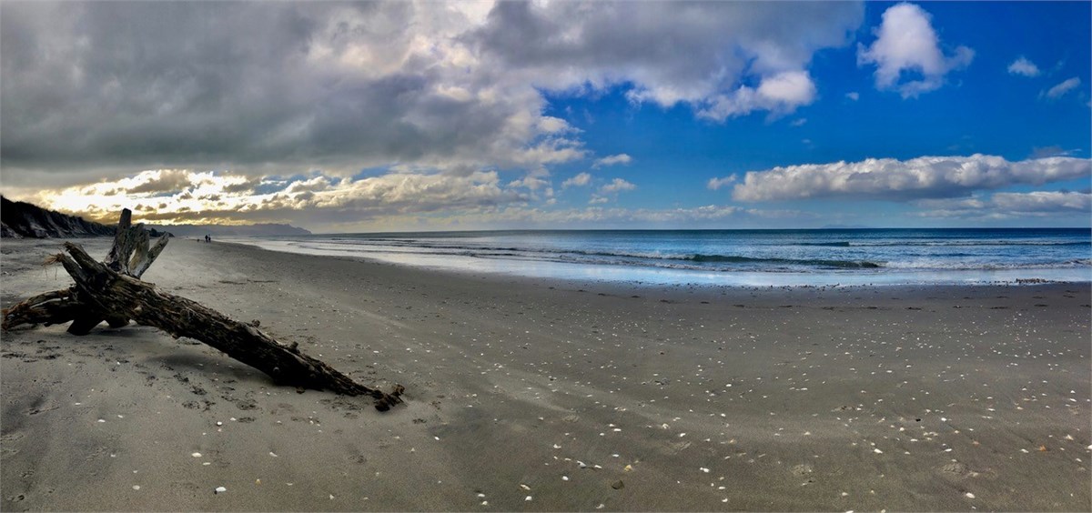 Waihi Beach