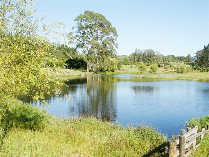 Our picturesque Lake