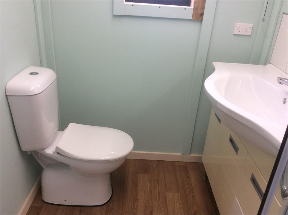 Bathroom (shower, vanity & flushing toilet)