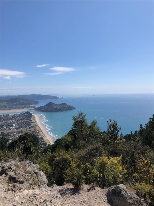 View from Mt Pauanui