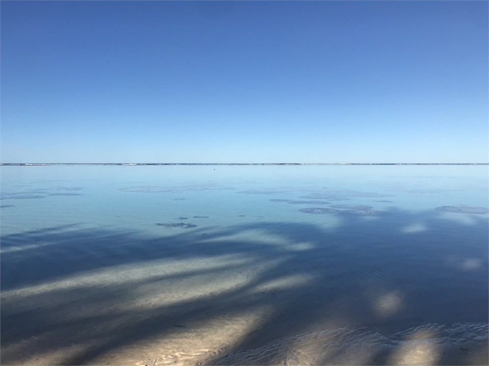 Good Morning Rarotonga