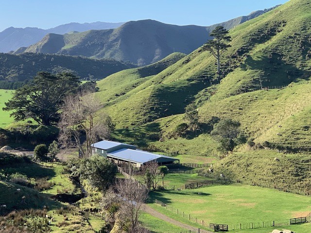 View from back of farm to woolshed