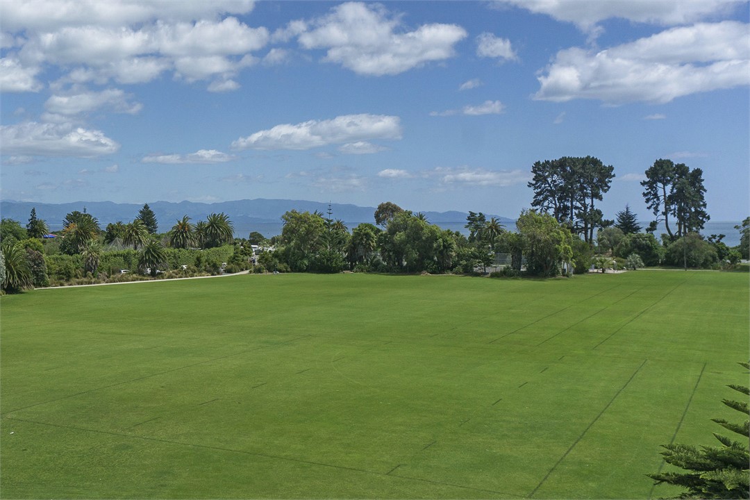 Views over Tahunanui towards the Beach