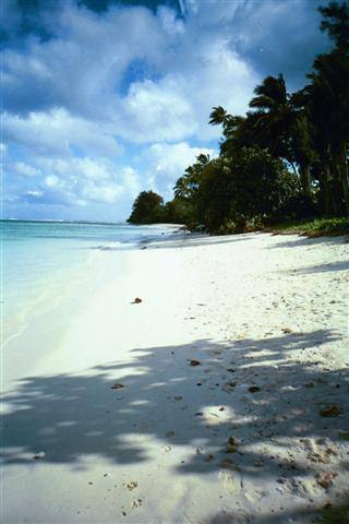 Fantastic sandy beach