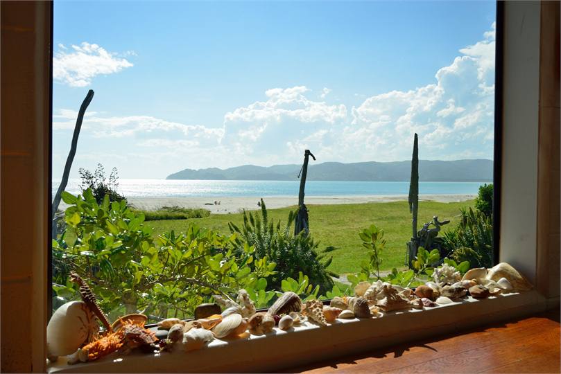 View from indoor dining table