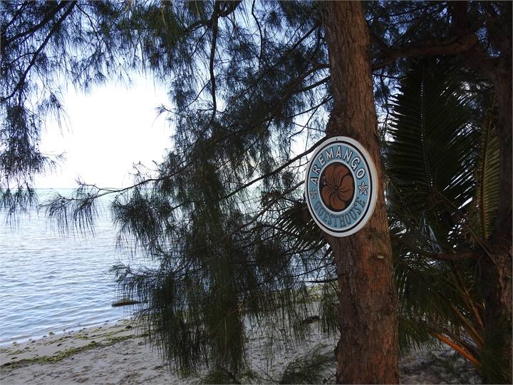 30 meters from the beach