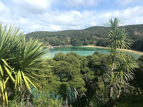 Looking from the Point down to the bay
