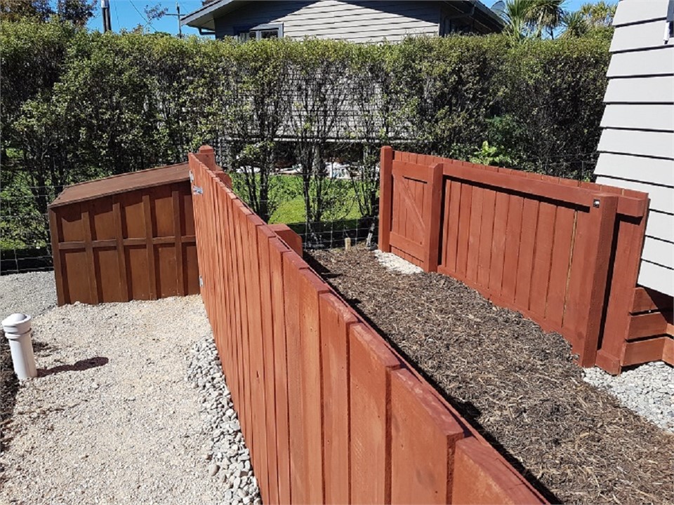 Dog Friendly Area for Hot Days