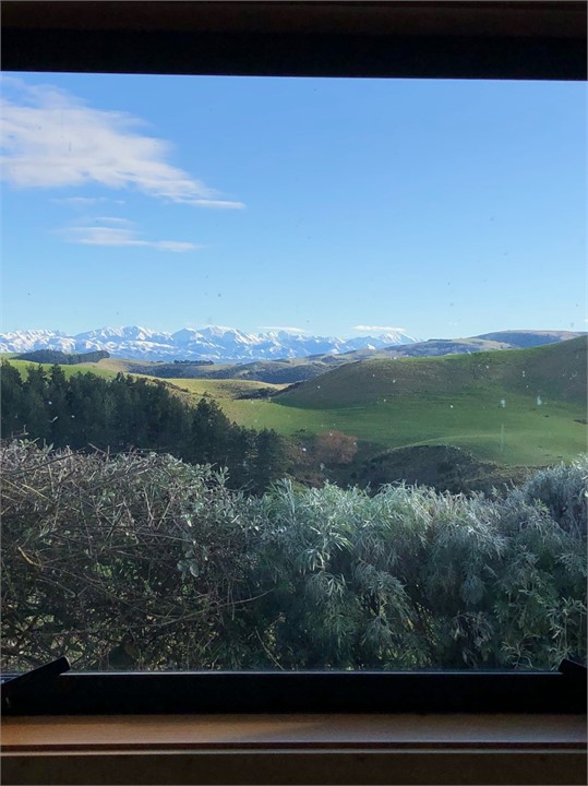 Kitchen window view north