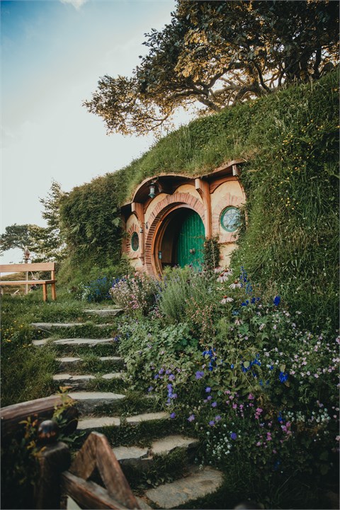 Visit the Famous Hobbiton Movie set only 20minutes