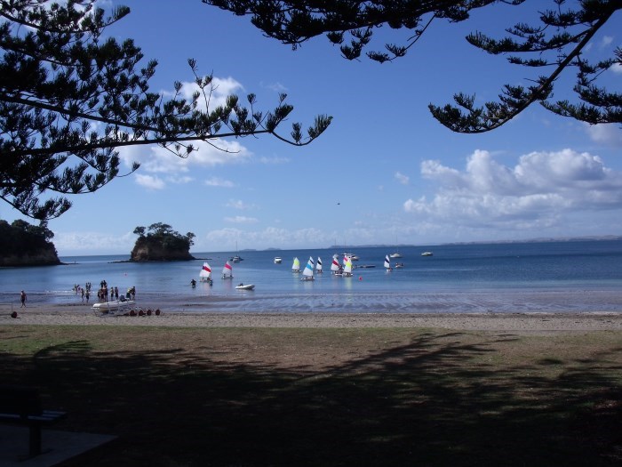 Walk 5 mins to local Waiake Beach