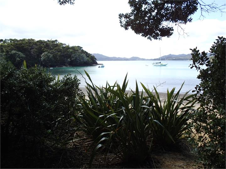 Looking out to the Bay