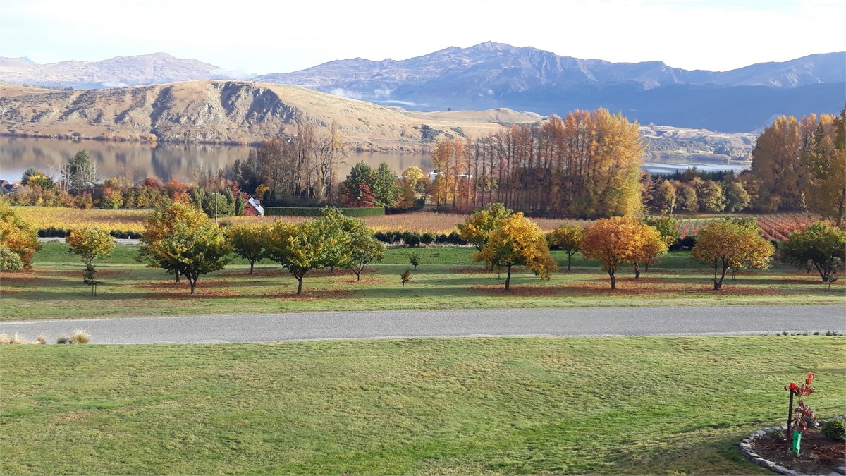 Luxury overlooking Spect Lake Hayes Homestay for rent