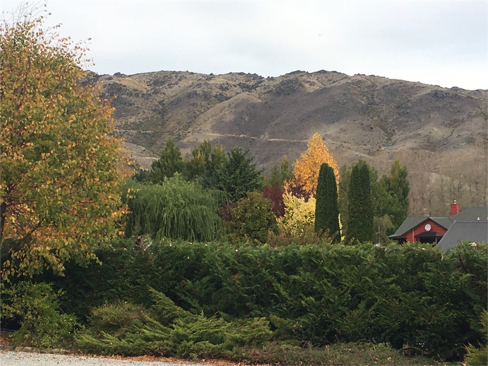 Autum colours looking towards the Dunstan Ranges