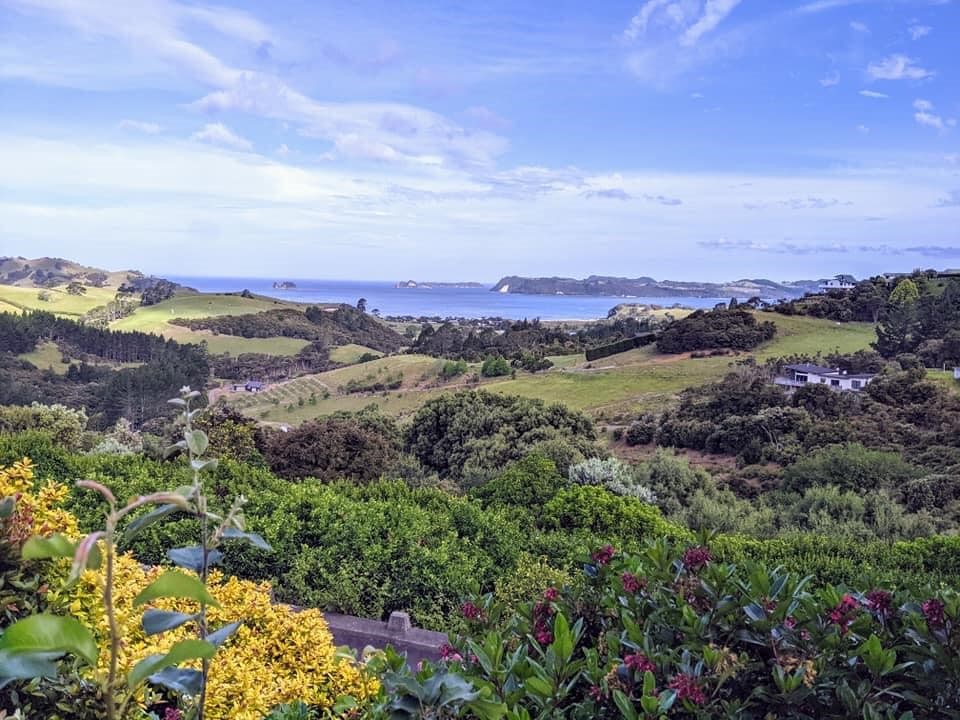 View of Valley and Pacific Ocean