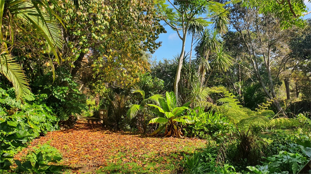 5 acres of sub tropical gardens to explore