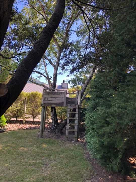 A tree hut for the young ones