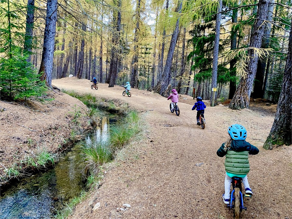 Naseby Forest has excellent biking trails.