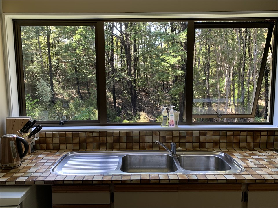 View from kitchen window