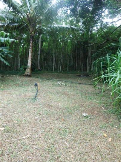 Beautiful grounds and trees