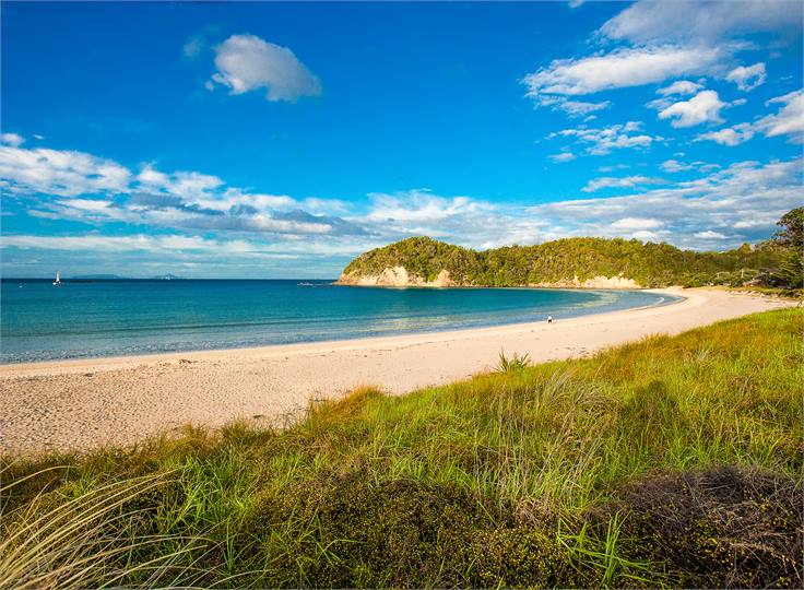 Matapouri Bay a few minutes walk away